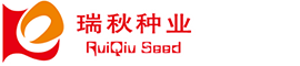 yTlogo