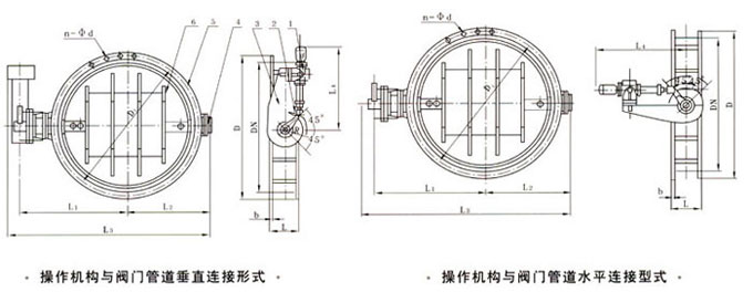 D241W-1ҺӵyνYߴD