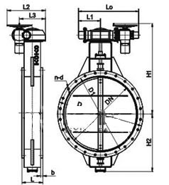 D941W-0.5C늄ͨLmyνYߴD