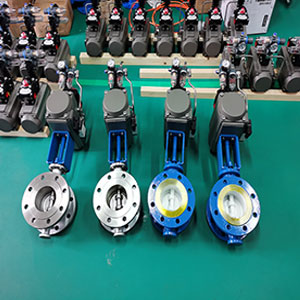 D643H-16C DN100 (dng)ƫĵy